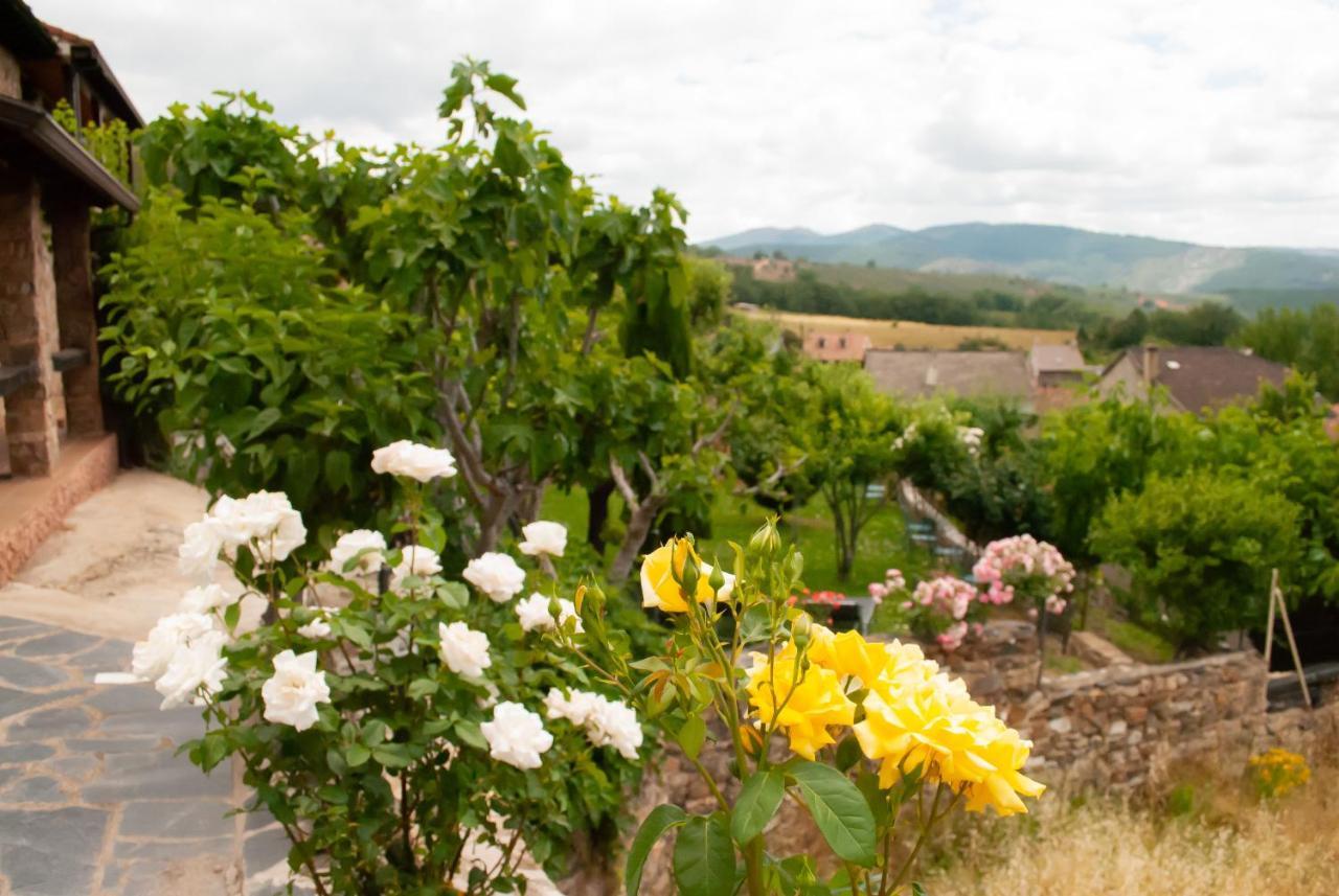 Casa Rural, Spa Y Restaurante El Huerto Del Abuelo Almiruete ภายนอก รูปภาพ